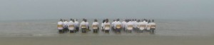 Chaises 2014 b