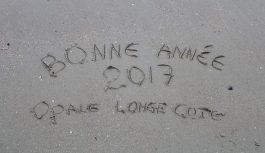 Dim 8 Janvier dans la brume Dunkerquoise. Dim 8 Janvier dans la brume Dunkerquoise.