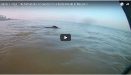 Longe Cote Dunkerque Dimanche 12 janvier 2018 Longe Cote Dunkerque Dimanche 12 janvier 2018