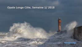 Olc Semaine 1 – 2018 Olc Semaine 1 – 2018