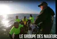 Joyeux Noel aux nageurs en mer du Nord