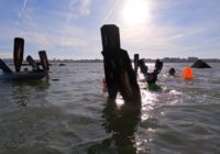 Découverte Nage avec palmes en mer du Nord