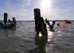 Découverte Nage avec palmes en mer du Nord